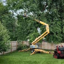 How Our Tree Care Process Works  in Mounds, OK