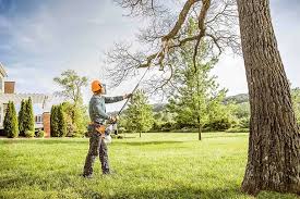 Tree and Shrub Care in Mounds, OK